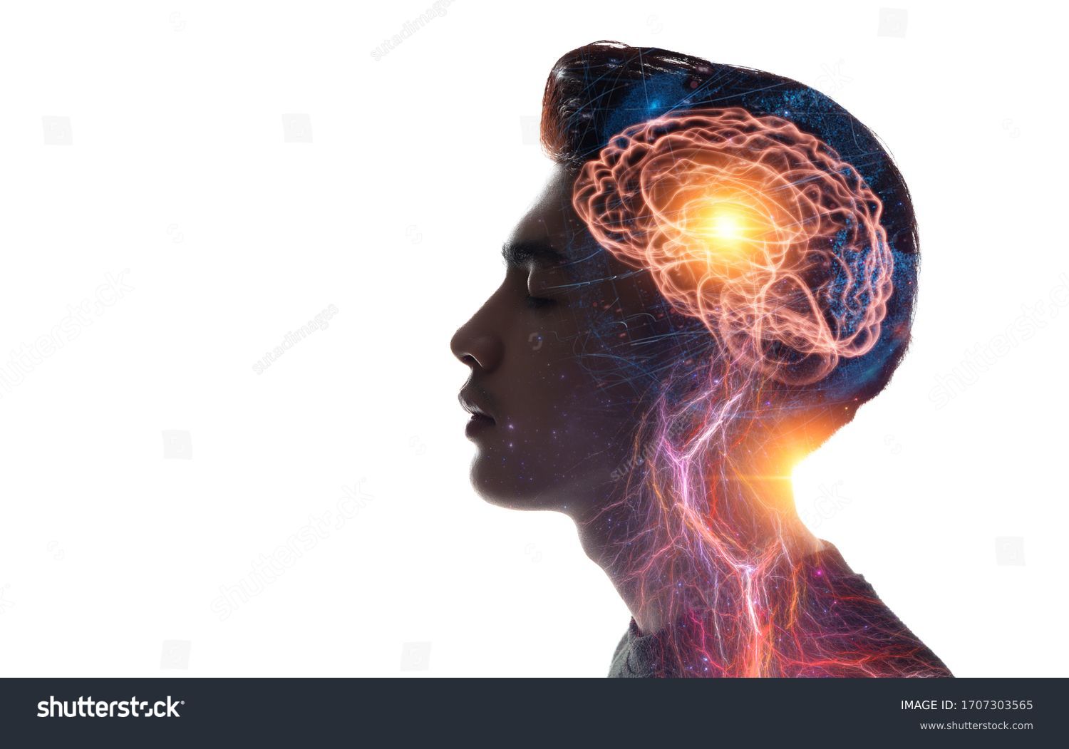 Brain