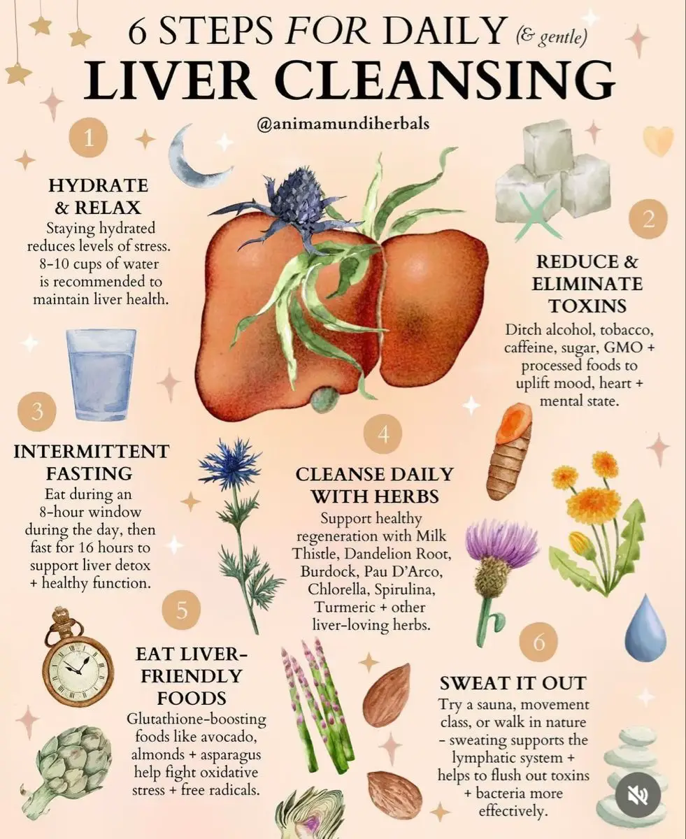 LiverHealthy1